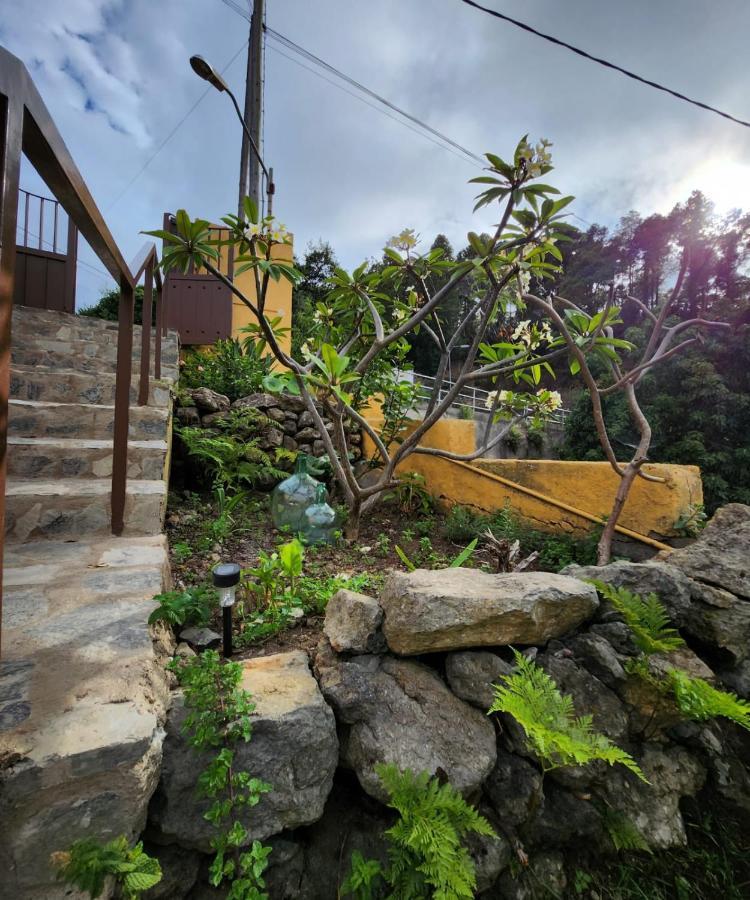 Vv Casa Muya Villa Icod De Los Vinos Eksteriør billede